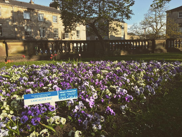 Adopt a flowerbed and make your business grow